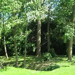 Chateau De Moulin-le-comte Bed & Breakfast 3*