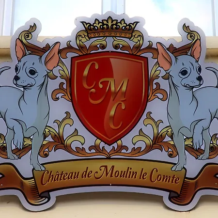 Chateau De Moulin Le Comte 4*