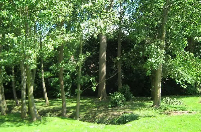 Chateau De Moulin Le Comte Couette-café 3*