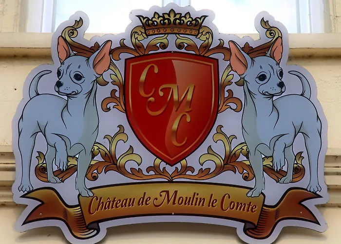 Chateau De Moulin Le Comte 3*